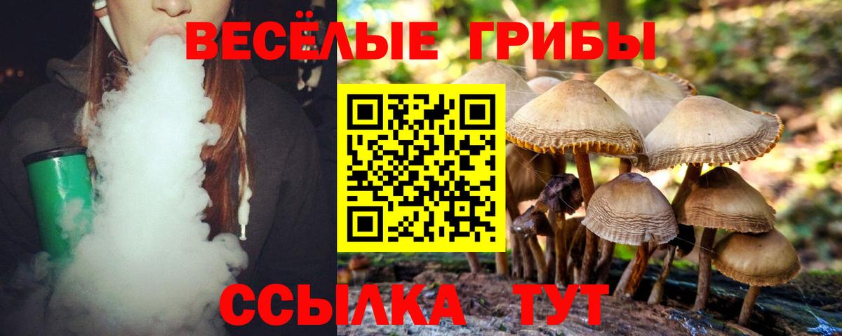 Псилоцибиновые грибы Magic Shrooms  Вход с VPN  Среднеуральск 